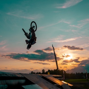 Pedal Monkeys